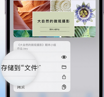 汪清apple维修中心分享iPhone文件应用中存储和找到下载文件