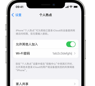 汪清apple服务站点分享iPhone上个人热点丢失了怎么办 