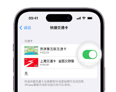 汪清apple维修点分享iPhone上更换Apple Pay快捷交通卡手绘卡面 