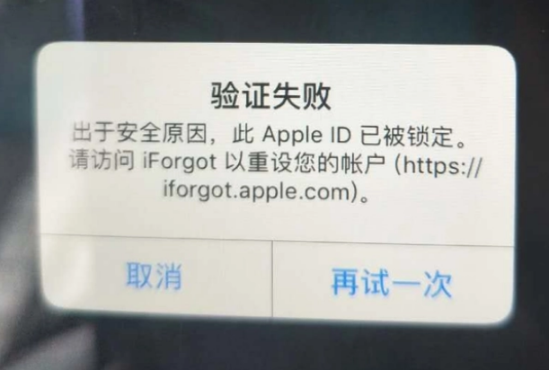 汪清iPhone维修分享iPhone上正常登录或使用AppleID怎么办 