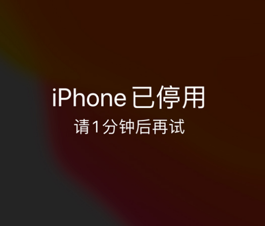 汪清苹果手机维修分享:iPhone 显示“不可用”或“已停用”怎么办？还能保留数据吗？ 