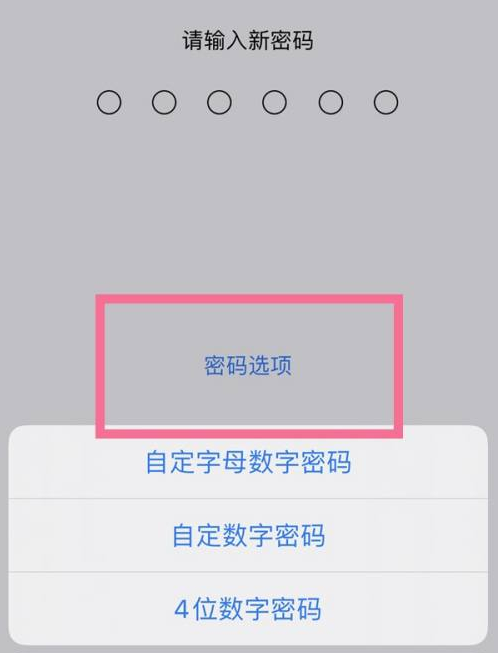 汪清苹果14维修分享iPhone 14plus设置密码的方法 