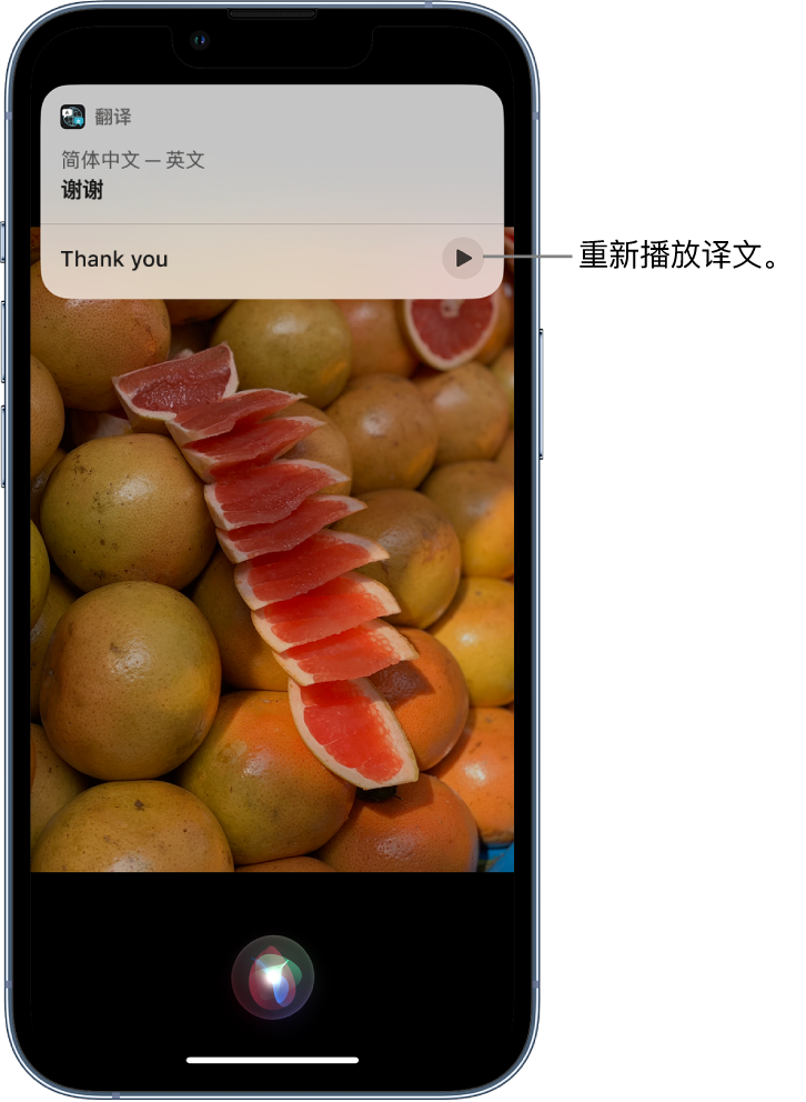 汪清苹果14维修分享 iPhone 14 机型中使用 Siri：了解 Siri 能帮你做什么 