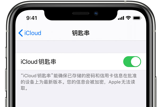 汪清苹果手机维修分享在 iPhone 上开启 iCloud 钥匙串之后会储存哪些信息 