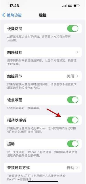 汪清苹果手机维修分享iPhone手机如何设置摇一摇删除文字 