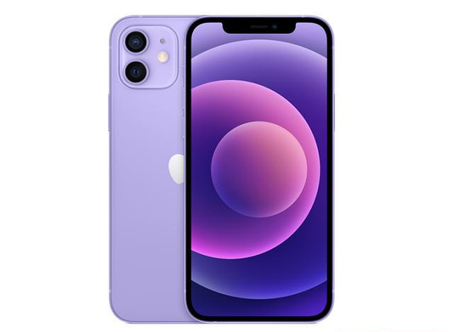 汪清苹果手机维修分享现阶段要不要入手紫色版iPhone12 