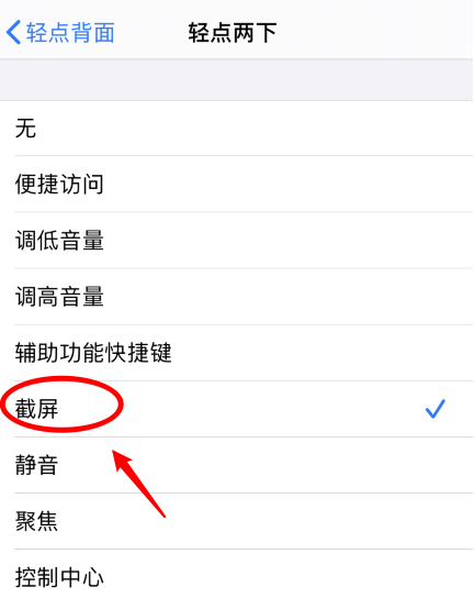 汪清苹果手机维修分享iPhone12如何启用双击截屏 